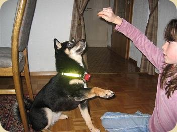 dia10.jpg